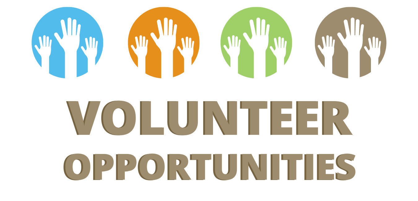 volunteer volunteer